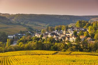 10 French Wine Regions That Make World-Class Wines
